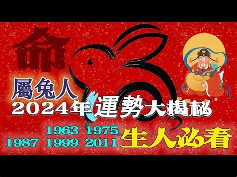 2011是什麼年|2011是民國幾年？2011是什麼生肖？2011幾歲？